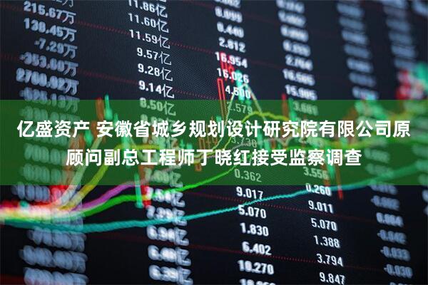 亿盛资产 安徽省城乡规划设计研究院有限公司原顾问副总工程师丁晓红接受监察调查