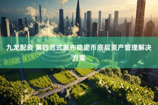 九龙配资 第四范式发布稳定币底层资产管理解决方案