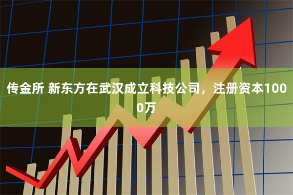 传金所 新东方在武汉成立科技公司，注册资本1000万