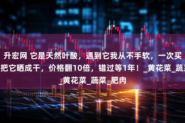 升宏网 它是天然叶酸，遇到它我从不手软，一次买20斤，把它晒成干，价格翻10倍，错过等1年！_黄花菜_蔬菜_肥肉