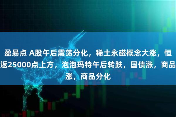 盈易点 A股午后震荡分化，稀土永磁概念大涨，恒指重返25000点上方，泡泡玛特午后转跌，国债涨，商品分化