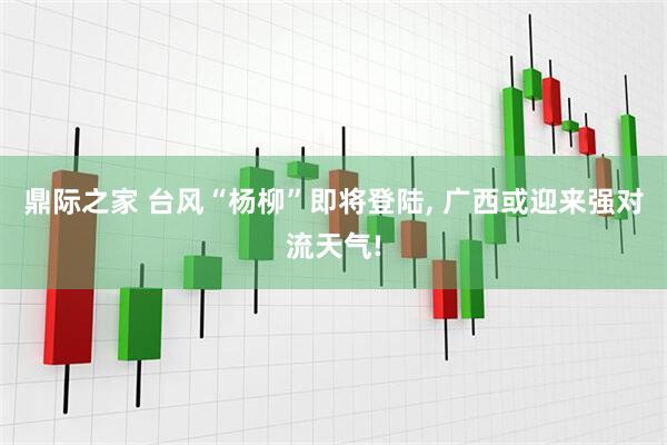 鼎际之家 台风“杨柳”即将登陆, 广西或迎来强对流天气!
